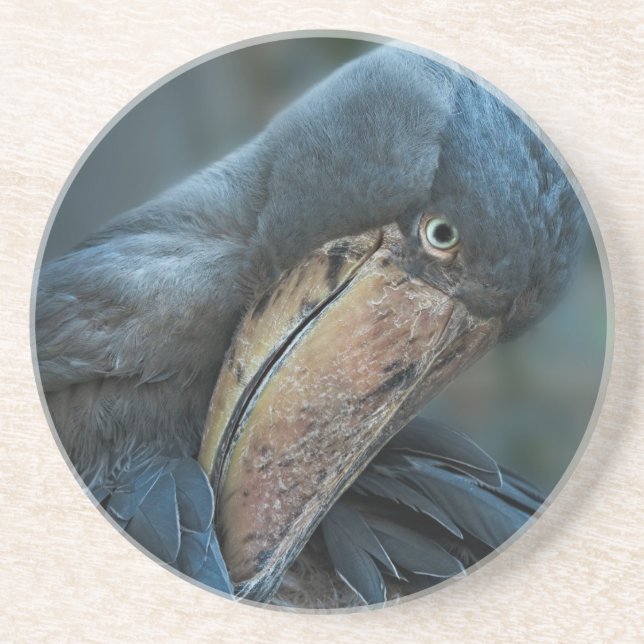 Shoebill Underlägg (Framsidan)