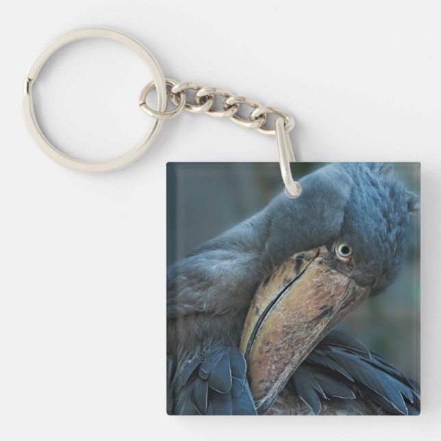 Shoebill Underlägg (Framsidan)