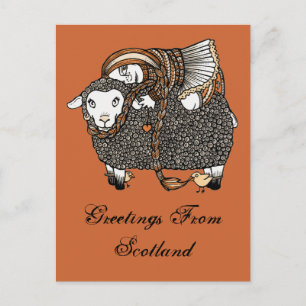 Shonaghs Sheep Postcard Vykort