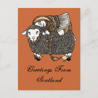 Shonaghs Sheep Postcard Vykort