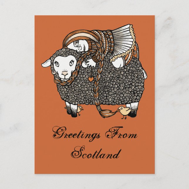 Shonaghs Sheep Postcard Vykort (Framsida)