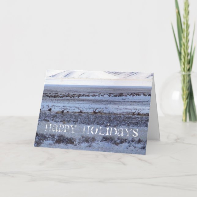 Shootin Helgkort (Framsida)