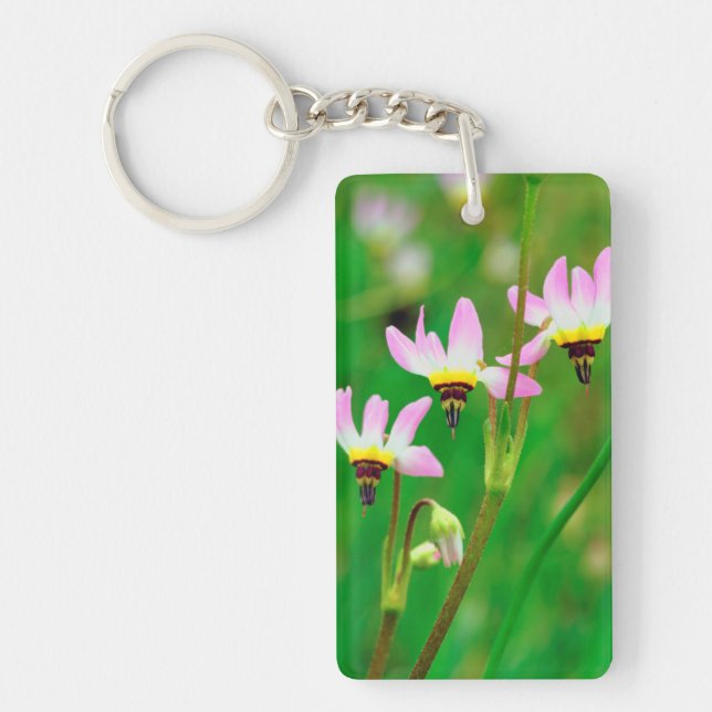Shooting Star-vilda blommor i Mission Trails Park (Framsidan)