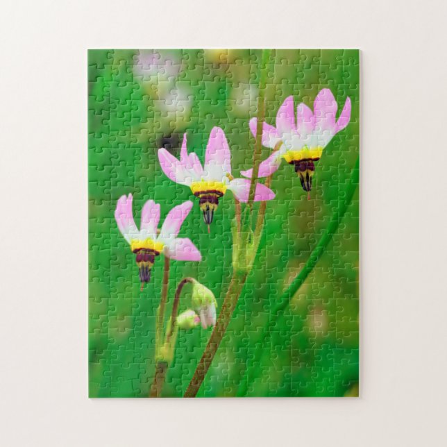 Shooting Star-vilda blommor i Mission Trails Park Pussel (Vertikal)