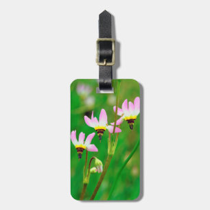 Shooting Star-vildblommor i Mission Trails Park Bagagebricka