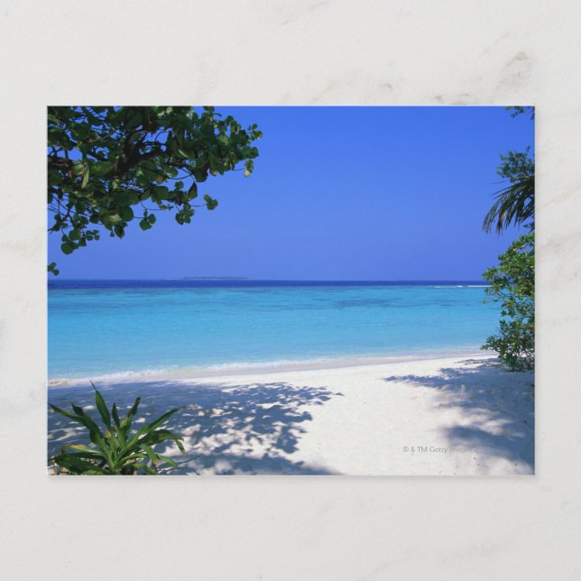 Shore 13 vykort (Framsida)