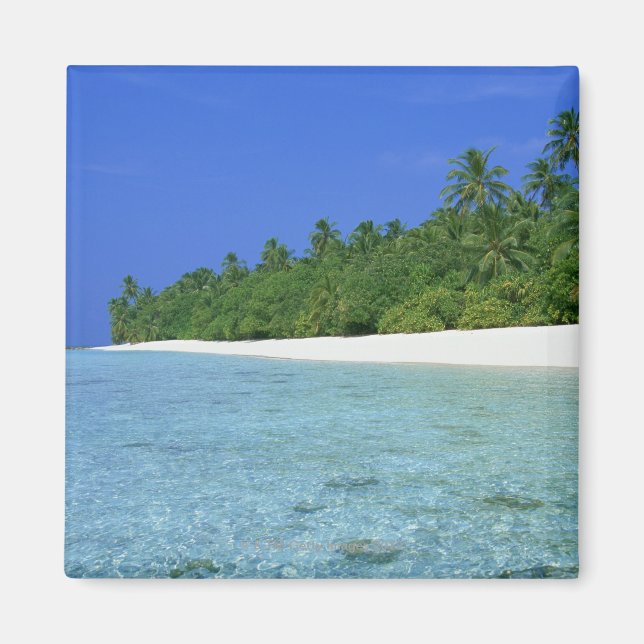 Shore 14 magnet (Framsidan)