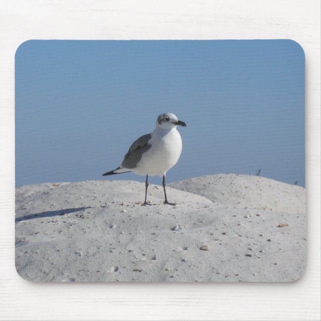 Shore Bird Musmatta (Framsidan)