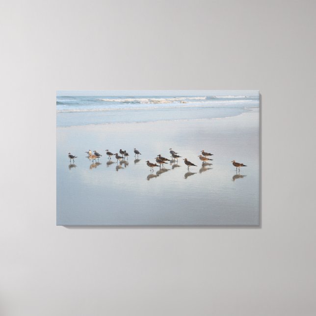 Shore Birds Canvastryck (Framsida)