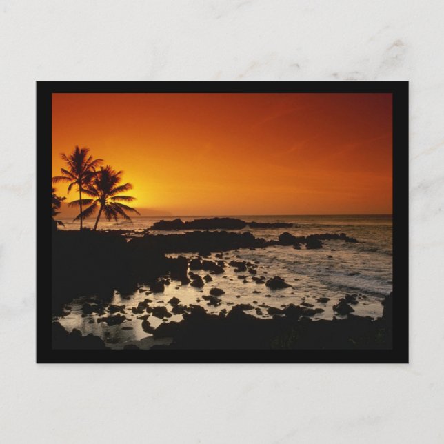 Shore Oahu Hawaii Vykort (Framsida)