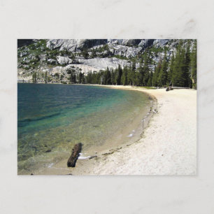 Shore of Tenaya Sjö, Yosemite, Kalifornien Vykort