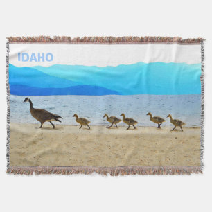 Shore Patrol Canada Geese Filt