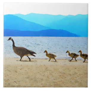 Shore Patrol Canada Geese Kakelplatta