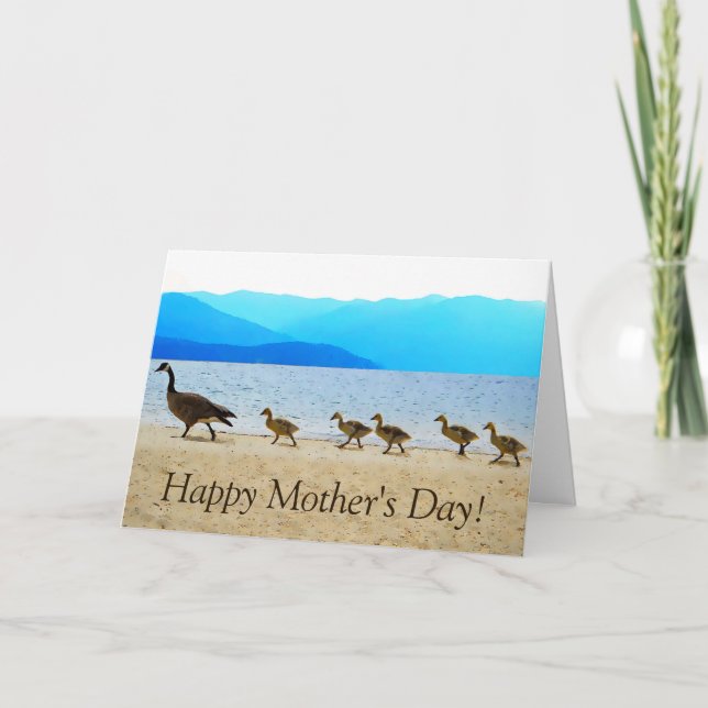 Shore Patrol Canada Geese Kort (Framsida)