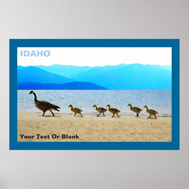 Shore Patrol Canada Geese Poster (Framsidan)