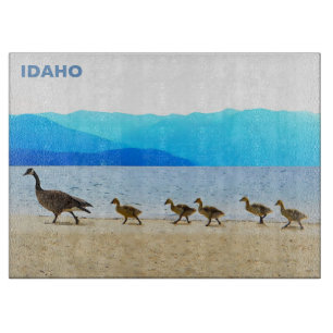 Shore Patrol - Kanada Geese