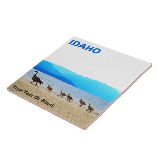 Shore Patrol - Kanada Geese Kakelplatta (Sidan)