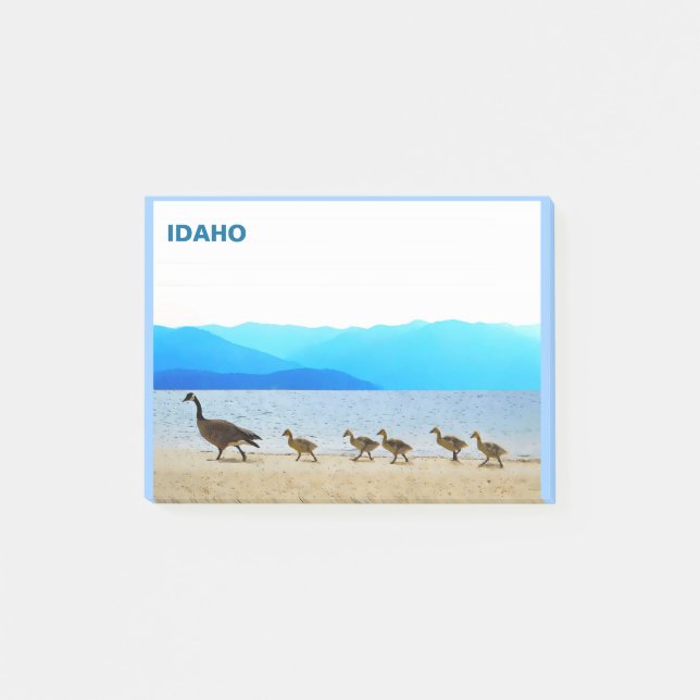 Shore Patrol - Kanada Geese Post-it Block (Framsida)