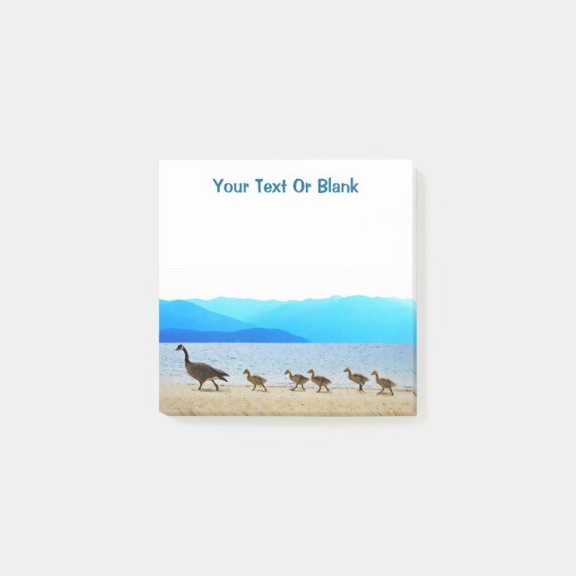 Shore Patrol - Kanada Geese Post-it Block (Framsida)