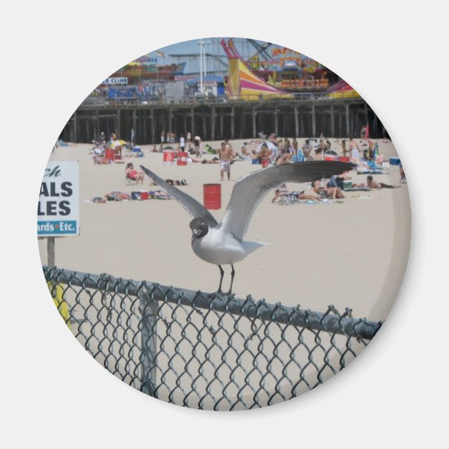 Shore Sak Magnet (Framsidan)