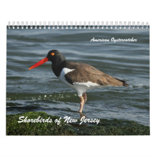 Shorebirds av nytt - jersey kalender