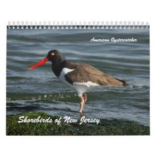 Shorebirds av nytt - jersey kalender