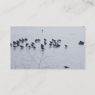 shorebirds på en sjövisitkort visitkort