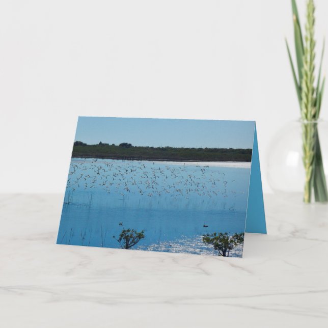 Shorebirds på vingehälsningkortet kort (Framsida)