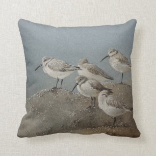 Shorebirds/Sanderlings som bedövar dekorativ kudd Kudde