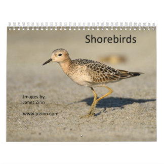 Shorebirdskalender Kalender
