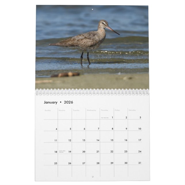 Shorebirdskalender Kalender (Jan 2026)