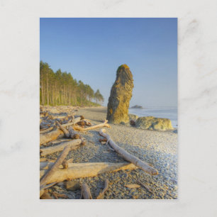 Shoreline and Seastacks, Ruby Beach, Olympic Vykort