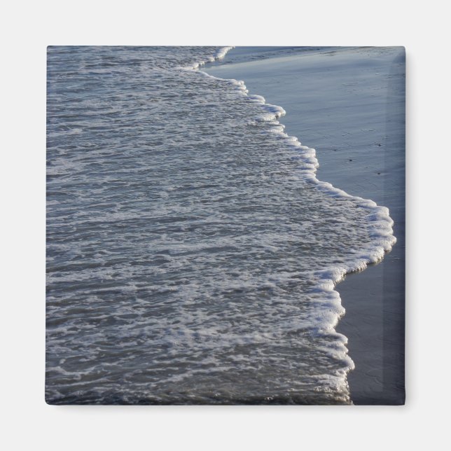 Shoreline Beauty Magnet (Framsidan)