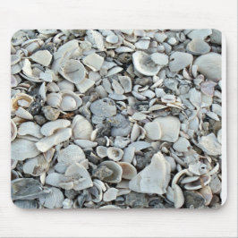Shoreline Shells Desk Style Musmatta