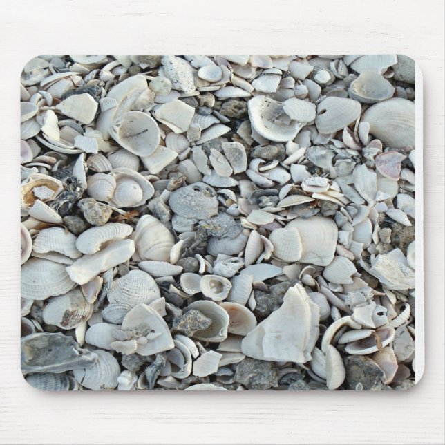 Shoreline Shells Desk Style Musmatta (Framsidan)