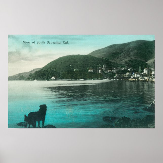 Shoreline View of South Sausalito Sausalito, CA Poster (Framsidan)