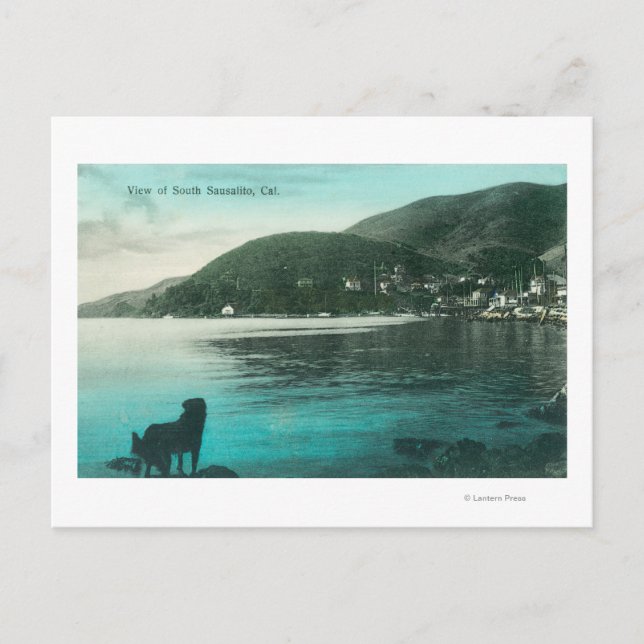 Shoreline View of South Sausalito Sausalito, CA Vykort (Framsida)