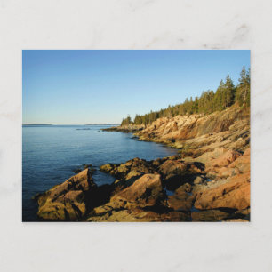 ShorelineAcadia Vykort