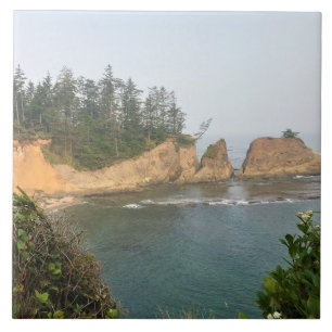 Shores Acres State Park, Oregon Kusten Kakelplatta