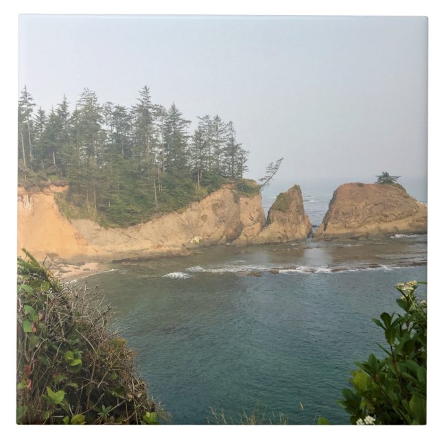 Shores Acres State Park, Oregon Kusten Kakelplatta (Framsidan)