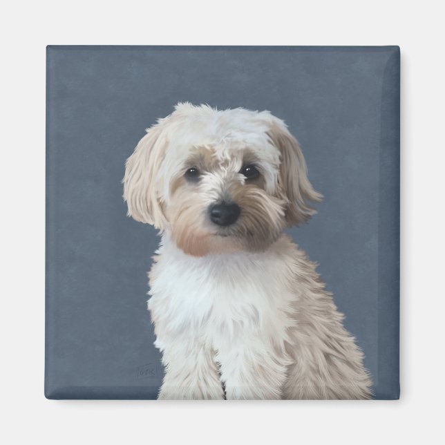 Shorkie hund pet porträtt magnet (Framsidan)