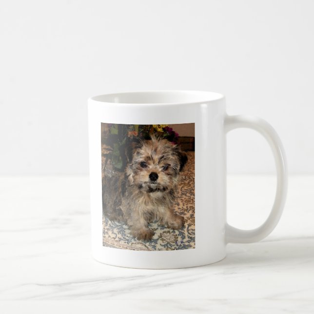 Shorkie valp kaffemugg (Höger)