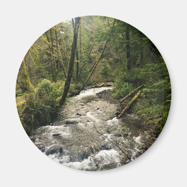 Short Sand Creek, Oswald West, Oregon Magnet (Framsidan)