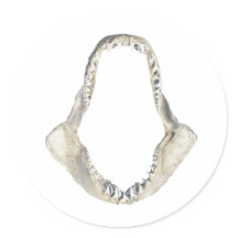 Shortfin Mako Shark Jaws Logotyp