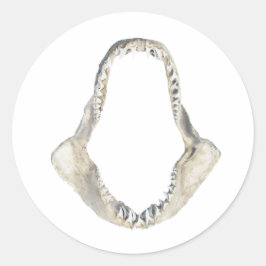 Shortfin Mako Shark Jaws Logotyp Runt Klistermärke