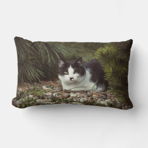 Shorthair Cat - Pillow Lumbarkudde