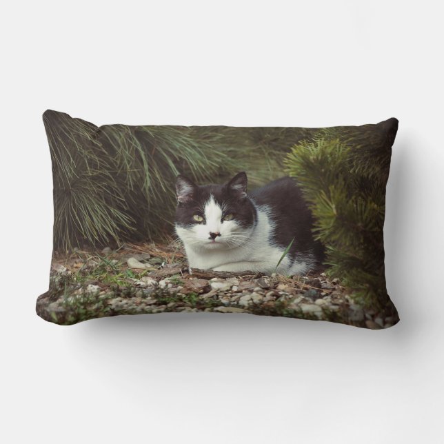 Shorthair Cat - Pillow Lumbarkudde (Framsida)