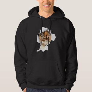 Shorthair Cats Torn Trasa Kitten 1 Hoodie