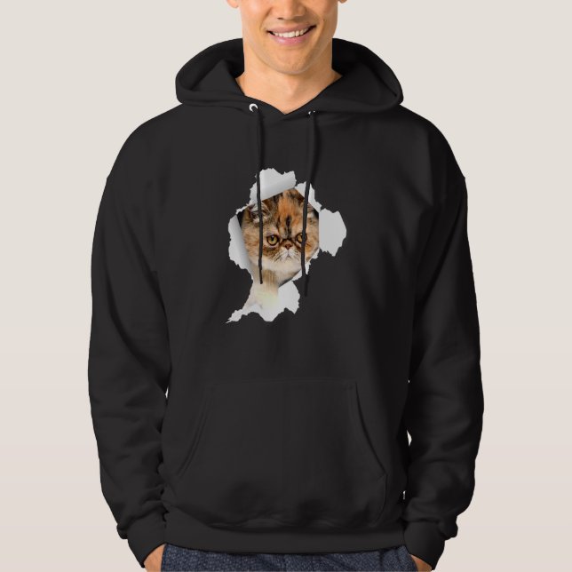 Shorthair Cats Torn Trasa Kitten 1 Hoodie (Framsida)