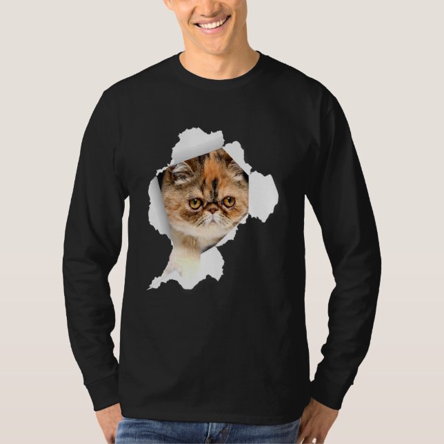 Shorthair Cats Torn Trasa Kitten 1 T Shirt (Framsida)